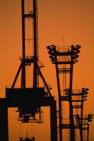 シーズニングとはどのようなものか