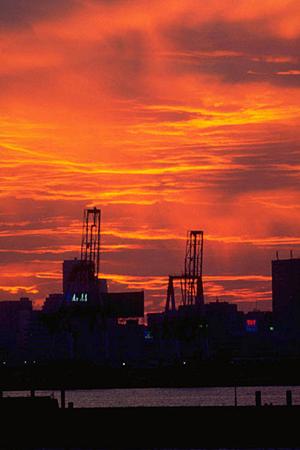 個性的なパッケージを実現できます